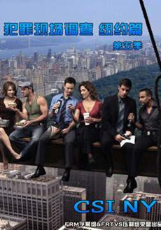 犯罪现场调查:纽约篇第五季