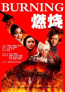 燃烧(2015)